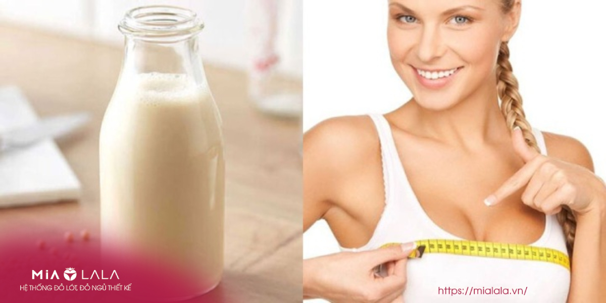 Uống sữa đậu nành có giúp tăng vòng 1 hay không?